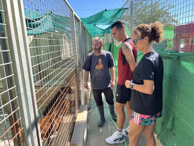 Sergi Guardiola ha visitado las instalaciones del albergue municipal de animales de Jumilla - 3, Foto 3