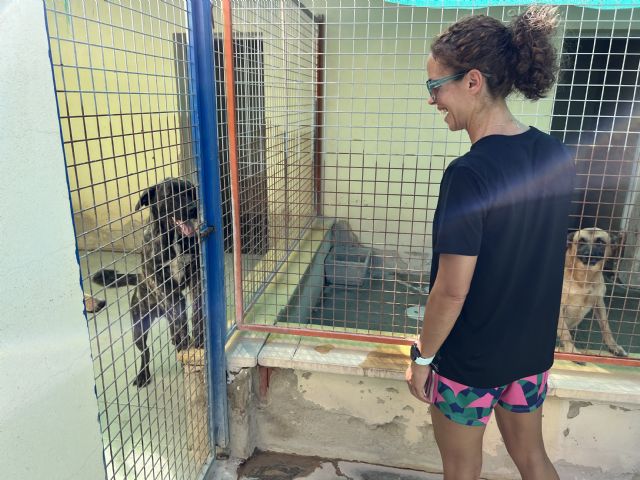 Sergi Guardiola ha visitado las instalaciones del albergue municipal de animales de Jumilla - 4, Foto 4