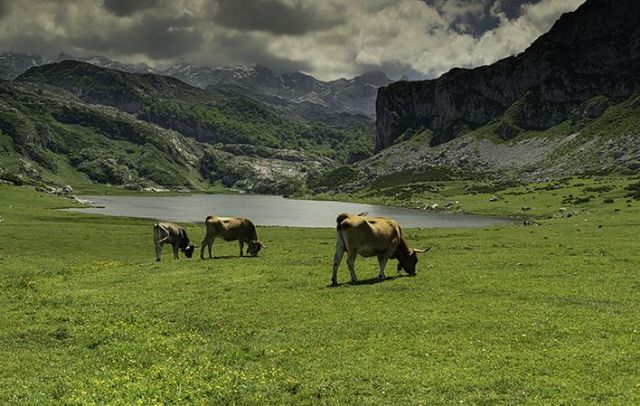 Escapadas para huir del calor: 5 lugares donde querrás refrescarte este verano - 1, Foto 1