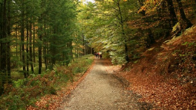 Escapadas para huir del calor: 5 lugares donde querrás refrescarte este verano - 4, Foto 4