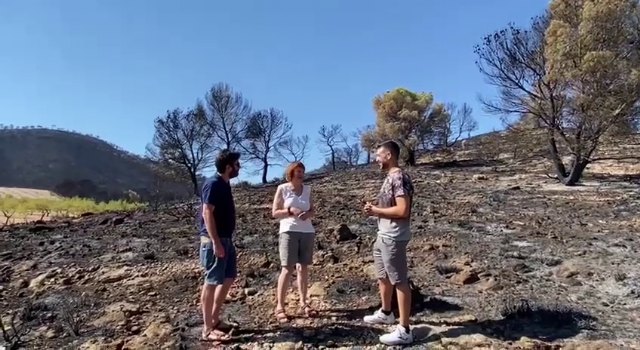 Podemos exige desde el escenario del incendio forestal de Jumilla más medios para luchar frente al fuego - 1, Foto 1