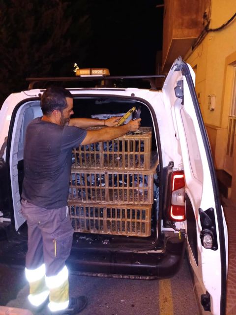 Retiran casi dos centenares de palomas de las inmediaciones del Santuario de la Virgen de las Huertas de Lorca - 1, Foto 1