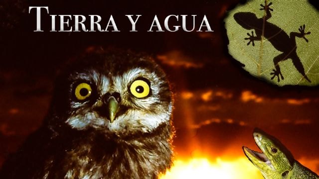 De Yecla al cielo del streaming global: el triunfo histórico e inédito de la serie documental 'Tierra y Agua' De Yecla al cielo del streaming global: el triunfo histórico e inédito de la serie documental 'Tierra y Agua'