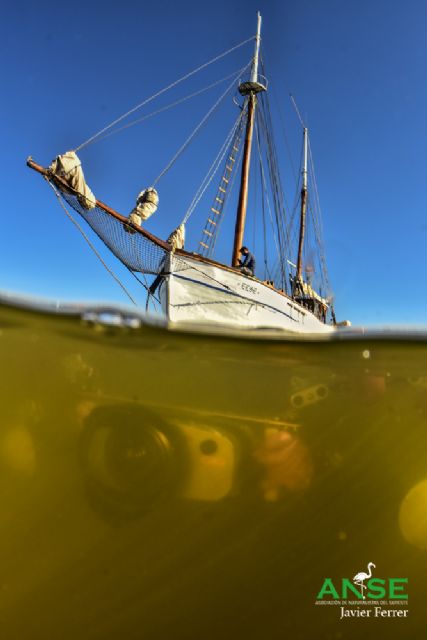 Una coalición de organizaciones pide al MITECO medidas eficaces para salvar el Mar Menor - 1, Foto 1