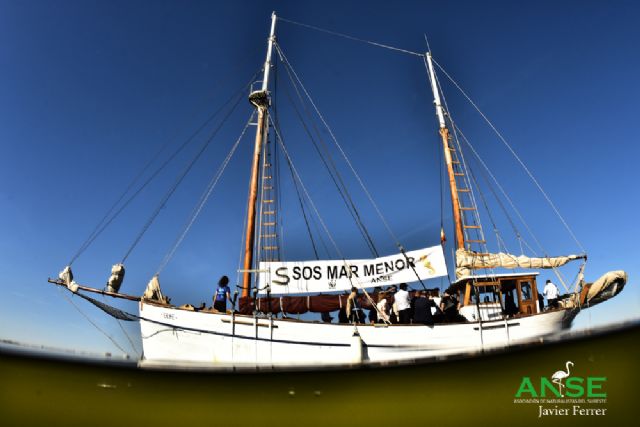 Una coalición de organizaciones pide al MITECO medidas eficaces para salvar el Mar Menor - 3, Foto 3