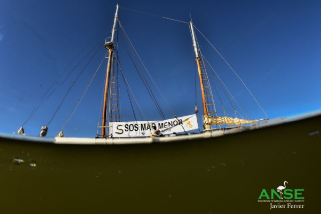 Una coalición de organizaciones pide al MITECO medidas eficaces para salvar el Mar Menor - 4, Foto 4