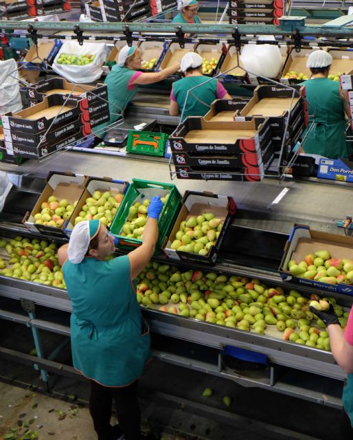 El sector agroalimentario español se une frente a los aranceles de EEUU - 1, Foto 1