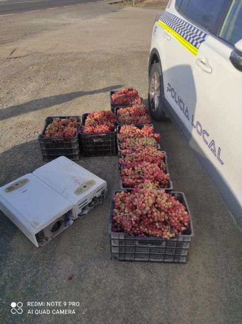 Interceptan en Lorca un vehículo con siete cajas de uva robadas de una finca de  Totana - 1, Foto 1