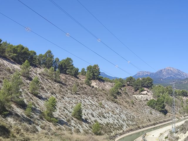 La CHS instala medidas protectoras para las aves en las líneas eléctricas del embalse de Alfonso XIII - 1, Foto 1