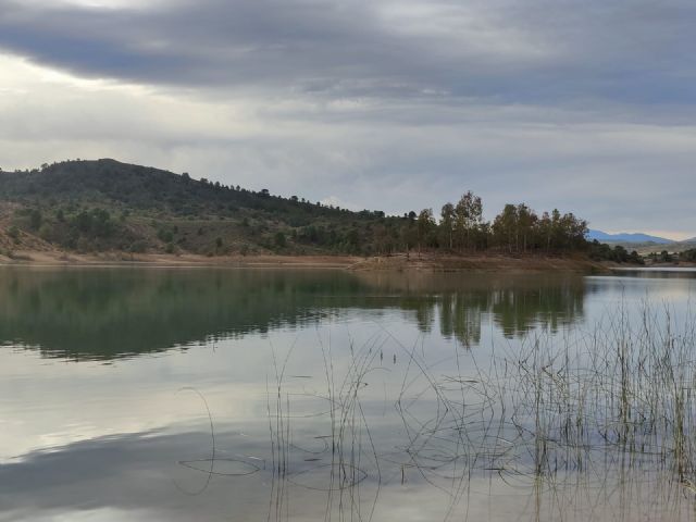 La CHS instala medidas protectoras para las aves en las líneas eléctricas del embalse de Alfonso XIII - 2, Foto 2