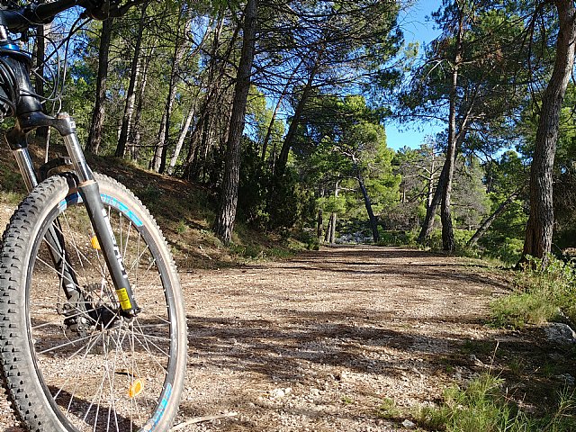 Rutas en bici para conocer Murcia - 3, Foto 3