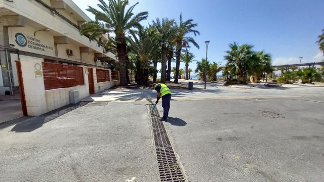 El Ayuntamiento refuerza los trabajos de fumigación y control de plagas en la época otoñal - 3, Foto 3