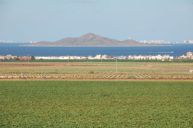 El Mar Menor no aguanta más bulos, necesita soluciones - 3, Foto 3