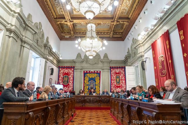 El Pleno muestra su rechazo a la Ley de Amnistía y ratifica su adhesión a la Constitución Española - 1, Foto 1