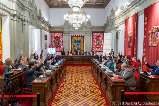 Unanimidad del pleno para instar a la Asamblea a que impulse una proposición de ley que lleve a la Comarcalización de la Región - 1, Foto 1