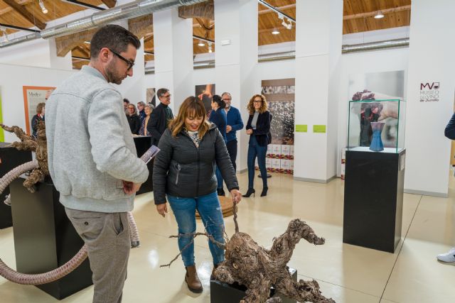 Se inaugura la exposición Jumilla. Diálogos de Arte & Vino en el Museo del Vino de Jumilla - 3, Foto 3