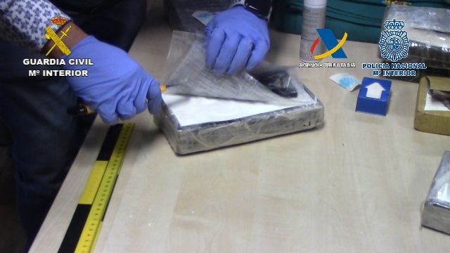 Desarticulada una organización criminal dedicada al tráfico internacional de cocaína a gran escala - 4, Foto 4