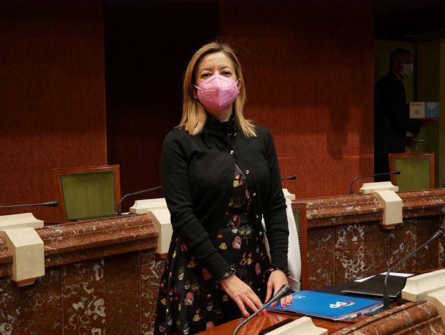 La Asamblea convalida el decreto ley que aporta una primera inyección de liquidez de 1,8 millones de euros a las concesionarias del transporte urbano - 1, Foto 1