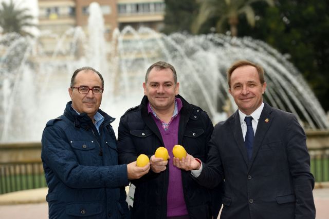 Los ingenieros agrícolas y agrónomos se unen en la promoción del limón de España - 1, Foto 1