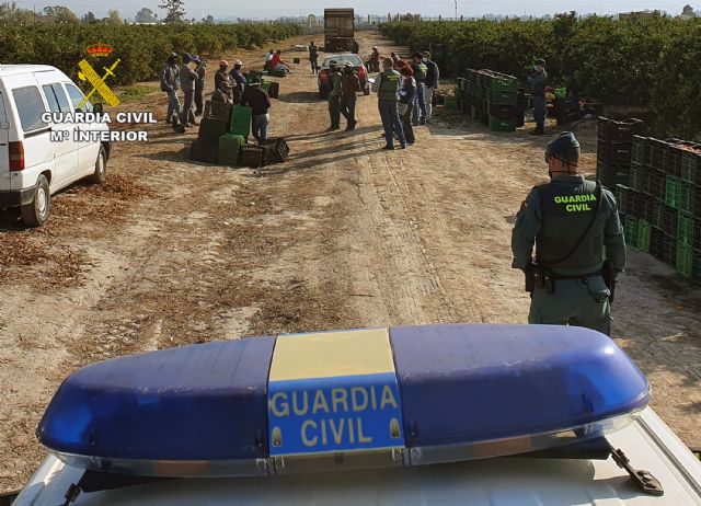 La Guardia Civil investiga a una decena de personas relacionadas con delitos contra el derecho de los trabajadores, Foto 4