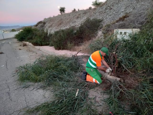 El Ayuntamiento lleva a cabo una actuación de limpieza en profundidad en Los Collados Zieschang - 2, Foto 2