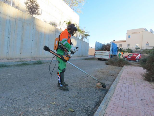 El Ayuntamiento lleva a cabo una actuación de limpieza en profundidad en Los Collados Zieschang - 3, Foto 3