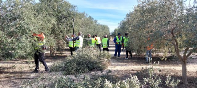 Finaliza con gran éxito el curso poda de olivar llevado a cabo por COAG, Foto 1