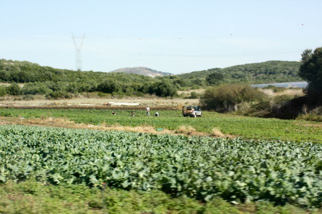 Unión de Uniones reclama incluir al sector agrario en el fondo de 11.000 millones de euros de ayudas a la solvencia empresarial - 2, Foto 2