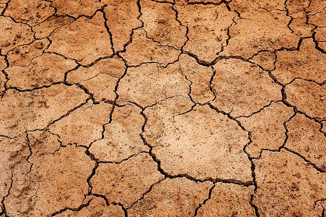 Comienzan los sondeos de agua en El Romeral, Caracolillos y Pinos - 1, Foto 1