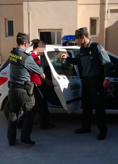 La Guardia Civil esclarece más de medio centenar de robos en interior de vehículos en Cehegín y Caravaca de la Cruz - 3, Foto 3