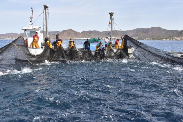 Se inicia el expediente para declarar BIC inmaterial a la Almadraba de La Azohía - 1, Foto 1