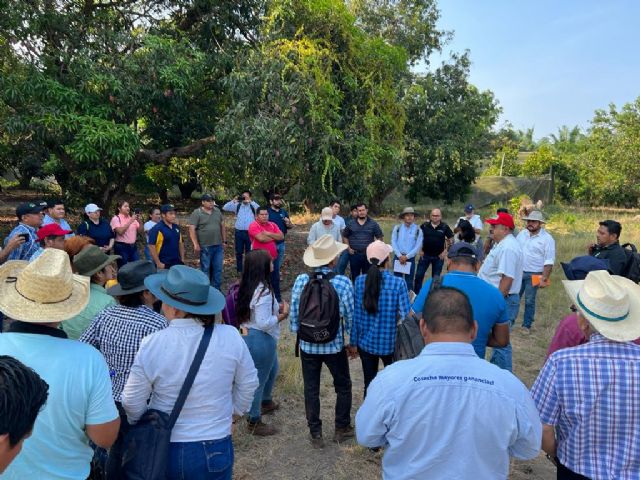 Balance exitoso y enriquecedor del Foro del Mango de Tapachula (México) - 2, Foto 2