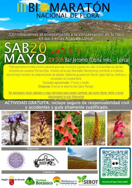 La Región de Murcia participa en el III Biomaratón de Flora Española que comienza hoy - 1, Foto 1