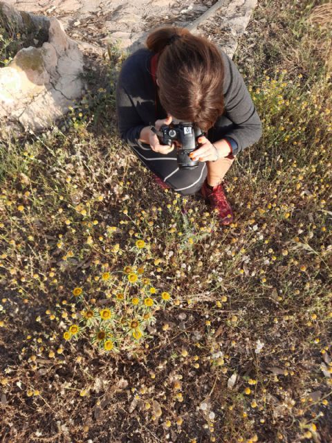 La Región de Murcia participa en el III Biomaratón de Flora Española que comienza hoy - 2, Foto 2