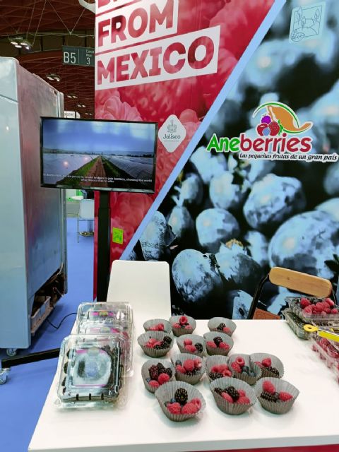 ANEBERRIES afianza su internacionalizacion de manera exitosa en MACFRUT 2023 - 2, Foto 2