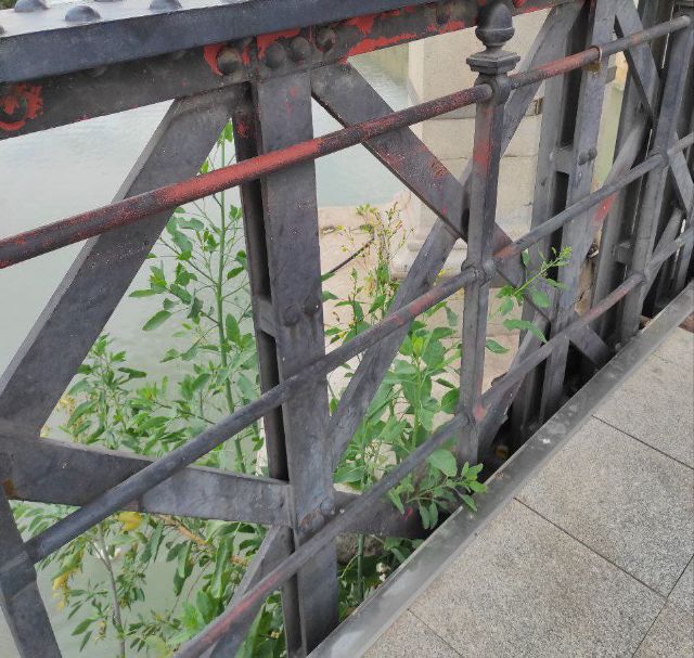 Huermur denuncia el mal estado del monumento BIC del Puente Viejo de Murcia - 1, Foto 1