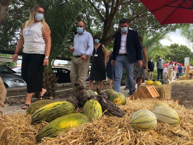 El IMIDA da a conocer más de sesenta variedades tradicionales de melón conservadas en su Banco de Germoplasma - 1, Foto 1