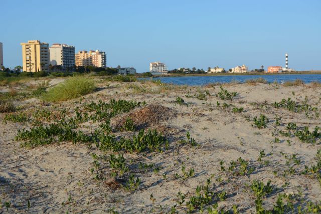 El proyecto Resalar permitirá recuperar la actividad salinera y biodiversidad de Marchamalo en el Mar Menor - 1, Foto 1