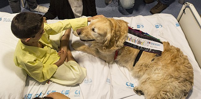 La Cátedra Animales y Sociedad y el Hospital 12 de Octubre reanudan el proyecto Huellas de Colores de forma presencial - 1, Foto 1