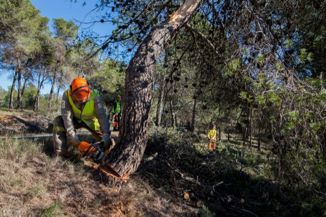 La superficie afectada por los incendios forestales en la Región se reduce este año un 84,5 por ciento - 1, Foto 1