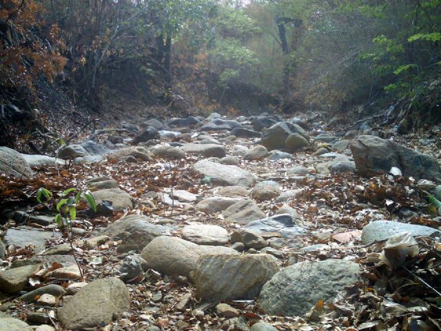 El agua: marcarse un farol - 1, Foto 1