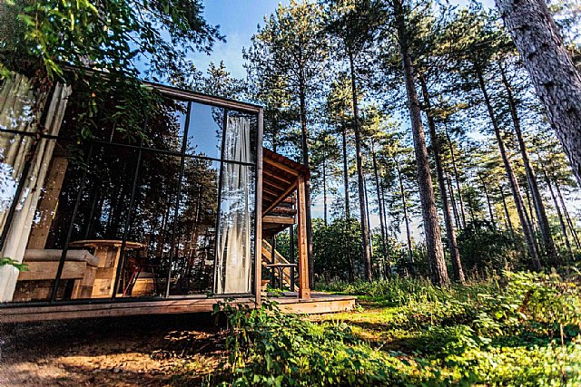 Casetas de jardín: la nueva tendencia para una casa de verano asequible y duradera - 1, Foto 1