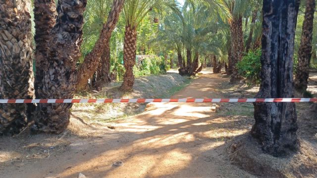 El Ayuntamiento de Murcia activa el protocolo contra el calor ante la alerta naranja para este domingo - 3, Foto 3