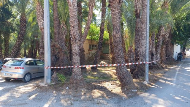 El Ayuntamiento de Murcia activa el protocolo contra el calor ante la alerta naranja para este domingo - 4, Foto 4