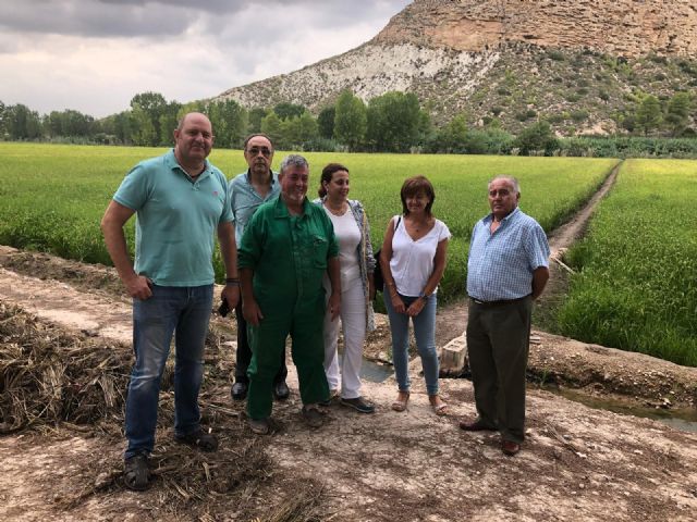 Agricultura concede ayudas al cultivo del arroz ecológico para contribuir a paliar el cambio climático - 1, Foto 1