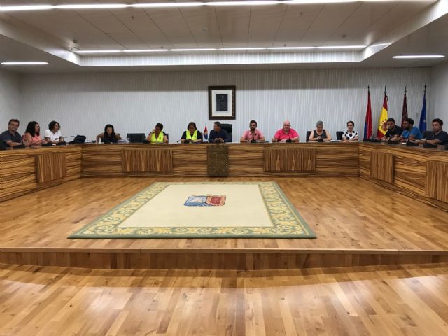 La Junta de Gobierno Local solicita la declaración de Zona afectada gravemente por emergencia de Protección Civil para el municipio de Torre Pacheco - 2, Foto 2