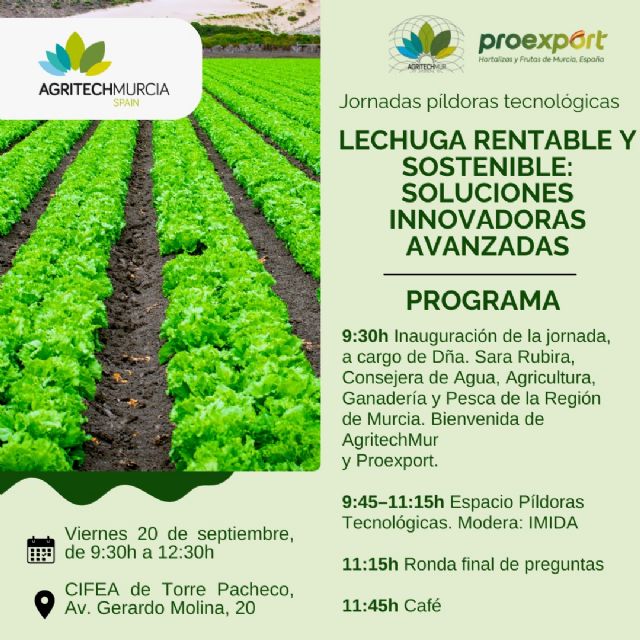 AgritechMurcia analizará en una Jornada técnica las soluciones innovadoras y avanzadas sobre la producción de Lechuga Rentable y Sostenible - 1, Foto 1