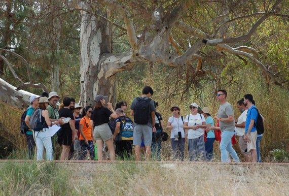 El proyecto Anillo verde transformador de Molina de Segura hace balance de las actividades de comunicación desarrolladas en esta primera fase - 1, Foto 1