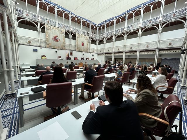 La Asamblea Regional elige a Natalia Sánchez López Comisionada de la Transparencia - 1, Foto 1