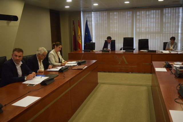 La Comisión de Industria aprueba por unanimidad una iniciativa del PP para aumentar la seguridad en la extinción aérea de incendios - 1, Foto 1